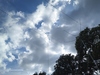 MW6M Image